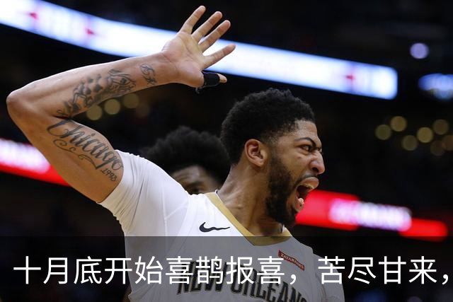 十月底开始喜鹊报喜，苦尽甘来，财路一路畅通的三大生肖！